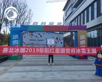 阜陽紅星國御府冰雕節「賽北冰雕」