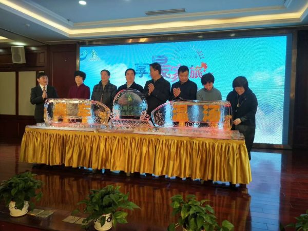 合肥慶典冰雕