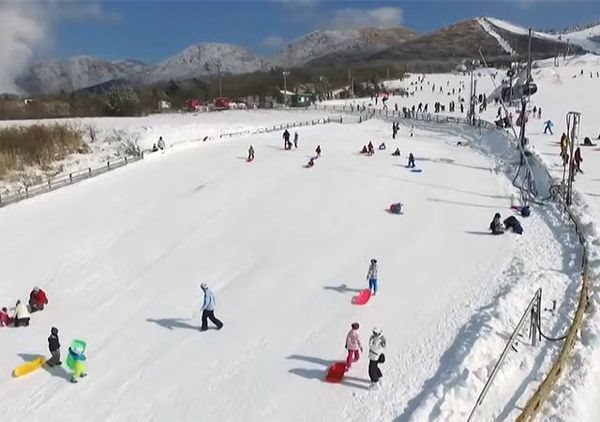 黑龍江滑雪看冰雕
