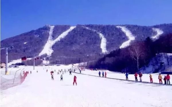 黑龍江滑雪看冰雕